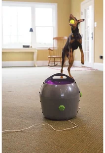 Altranet PetSafe Automatyczna wyrzutnia piłek, 9 m, szara i fioletowa - Zabawki dla psów - miniaturka - grafika 4