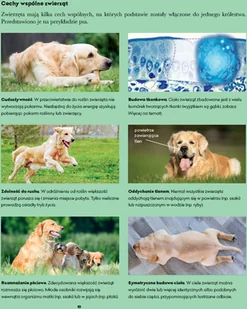 Wydawnictwo MAC Biologia. Podręcznik klasa 6 881341 - Podręczniki dla szkół podstawowych - miniaturka - grafika 5