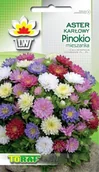 Nasiona i cebule - Toraf KWIATY Aster karłowy Pinokio nasiona 1g 00324 - miniaturka - grafika 1
