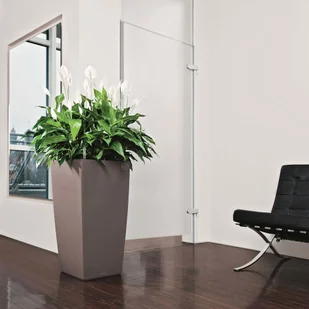 Lechuza Donica Cubico Color 40 ALL-IN-ONE, muszkatołowa, 13151 - Donice - miniaturka - grafika 6