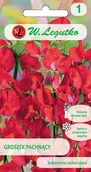 Nasiona i cebule - Legutko sp. z o.o Nasiona Groszek pachnący czerwony, 3g - miniaturka - grafika 1