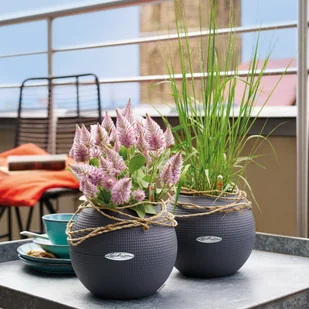 Lechuza Doniczka PURO Color 20 piaskowy brąz - Donice - miniaturka - grafika 7