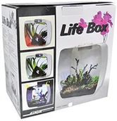 Terraria - Lucky Reptile LB Life Box Nanoterrarium ze szkła akrylowego, mały, biały - miniaturka - grafika 1