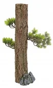 Dekoracje do akwarium - Zolux Dekoracja akwarystyczna Forest XL Raty - miniaturka - grafika 1
