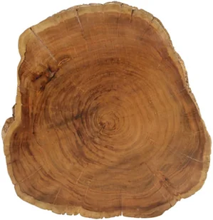 vidaXL Stolik kawowy z litego drewna akacjowego, 60x55x25 cm - Ławy i stoliki kawowe - miniaturka - grafika 4