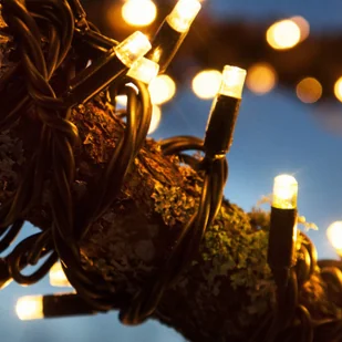 Markslojd Łańcuch świetlny Chrissline Extra 50 LED 2 300 K - Oświetlenie świąteczne - miniaturka - grafika 3