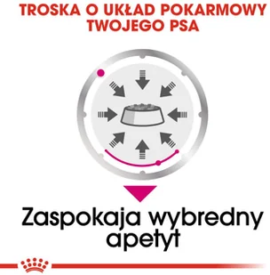 Royal Canin CCN Exigent 12x85g karma mokra pasztet dla psów dorosłych wybrednych 25441-uniw - Mokra karma dla psów Royal Canin CCN Exigent 12x85g karma mokra pasztet dla psów dorosłych wybrednych 25441-uniw - Mokra karma dla psów - miniaturka - grafika 7