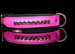 dr Seidla ZOO LESZCZ (PL) Soldina Dla Psa Skóra Naturalna Z Kostkami 30 mm / 65 cm ZL0182/A ZOO LESZCZ (PL) - Smycze dla psów - miniaturka - grafika 6