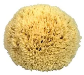 Rękawice i gąbki do kąpieli - Croll & Denecke Croll + Denecke Premium gąbka naturalna P170 - miniaturka - grafika 1