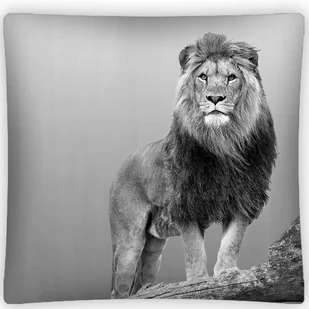 Detexpol Poszewka na poduszkę 3D 40x40 LEW PS 02 41683 - Kołdry i poduszki dla dzieci - miniaturka - grafika 2