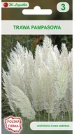 Trawy i trawniki - Legutko Trawa pampasowa BIAŁA - miniaturka - grafika 1