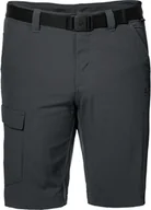 Bielizna sportowa męska - Jack Wolfskin Spodenki HOGGAR SHORTS phantom 1503781-6350 - miniaturka - grafika 1