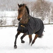 Derki dla konia - Bucas Derka padokowa 50g 1200D IRISH EXTRA - Bucas - black/gold - miniaturka - grafika 1