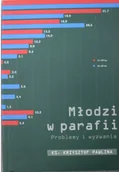 Religia i religioznawstwo - Młodzi w parafii problemy i wyzwania Używana - miniaturka - grafika 1