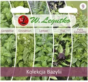 Nasiona i cebule - Legutko Bazylia nasiona tradycyjne - miniaturka - grafika 1
