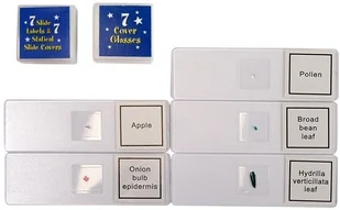 Mikroskop Dziecięcy w Walizce 28 elementów  5427 - Mały majsterkowicz - miniaturka - grafika 6