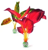 Dekoracje do akwarium - Oase Reef One jedwabny roślin - miniaturka - grafika 1