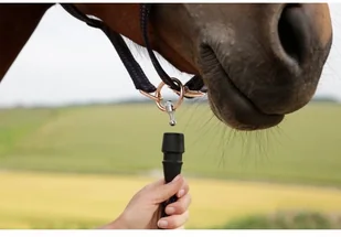 Can-agri Can-Agri Kantar Goleygo z Adapterem,niebiesko-karmelowy roz.0 3221383 - Kantary dla koni - miniaturka - grafika 3