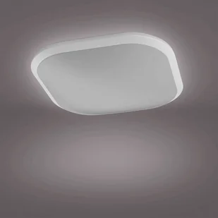 Philips Signify Lampa sufitowa LED Cavanal, 18 W, kwadratowa, biała, 3281031P3 3281031P3 - Lampy sufitowe - miniaturka - grafika 3