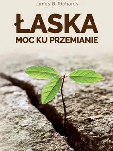 Absolutnie Fantastyczne Łaska. Moc ku przemianie, wydanie 3 James B. Richards - Religia i religioznawstwo Absolutnie Fantastyczne Łaska. Moc ku przemianie, wydanie 3 James B. Richards - Religia i religioznawstwo - miniaturka - grafika 1