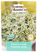 Nasiona na kiełki - PlantiCo Nasiona na kiełki KAPUSTA BIAŁA 10g Nas000317 - miniaturka - grafika 1