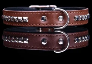 dr Seidla ZOO LESZCZ (PL) Soldina Dla Psa Skóra Naturalna Z Kostkami 20 mm / 45 cm ZL0178/1 ZOO LESZCZ (PL) - Smycze dla psów - miniaturka - grafika 2