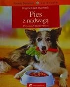 Rośliny i zwierzęta - Wiedza i Życie Pies z nadwaga. Przyczyny, skutki, dieta. Porady domowe zwierzęta - miniaturka - grafika 1