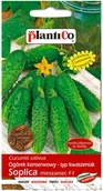 Nasiona i cebule - Plantico Ogórek gruntowy Soplica F1 - miniaturka - grafika 1