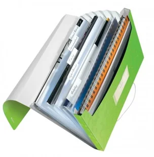 Esselte TECZKA Z GUMKA PP A4/30MM/6PRZ LTZ WOW ZIE J. - Teczki i skoroszyty - miniaturka - grafika 2