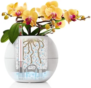 Lechuza Doniczka PURO Color 20 piaskowy brąz - Donice - miniaturka - grafika 4