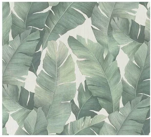 Tapeta winylowa liście tropikalne liście monstera - Tapety - miniaturka - grafika 4