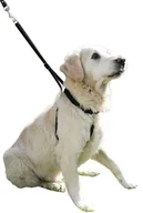 Ubranka dla psów - Kerbl KERBL uprząż dla psa Maxi Leader - miniaturka - grafika 1