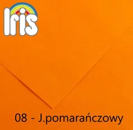 Papier do drukarek - Canson Karton kolorowy 200040157) - miniaturka - grafika 1