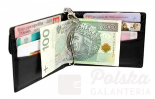 Albatross Portfel (PL) Skóra Naturalna Licowa Mały Poziomy Zewnętrzna kieszeń na Bilon A-3820 - Portfele - miniaturka - grafika 6