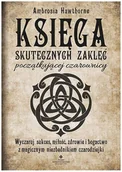 Wróżbiarstwo i radiestezja - Studio Astropsychologii Księga skutecznych zaklęć początkującej czarownicy 010011698 - miniaturka - grafika 1