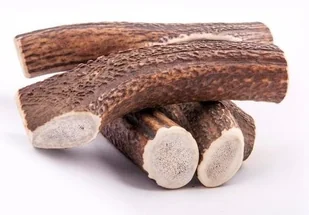 4Dogs 4DOGS Gryzak z poroża XL hard - Przysmaki dla psów - miniaturka - grafika 9