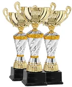 Piłka nożna - DEPICE Puchar depice serii pucharów, srebrny TRO-FS-3841_silber/gold_33-44 cm - miniaturka - grafika 1