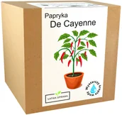 Nasiona i cebule - Zestaw do Uprawy papryka chili De Cayenne papryki - miniaturka - grafika 1