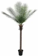 Sztuczne drzewka - Europalms Europalms Phoenix deluxe, 220cm, Sztuczna palma 82509722 - miniaturka - grafika 1
