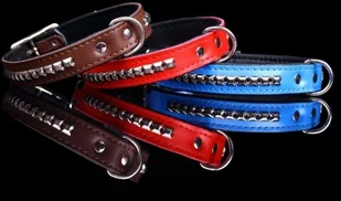 dr Seidla ZOO LESZCZ (PL) Soldina Dla Psa Skóra Naturalna Z Kostkami 30 mm / 65 cm ZL0182/A ZOO LESZCZ (PL) - Smycze dla psów - miniaturka - grafika 3