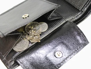 Elkor (PL) Portfel Uniwersalny (PL) Skóra Licowa Średni Poziomy EL122 - Portfele - miniaturka - grafika 5