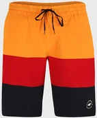 Kąpielówki męskie - 4F Szorty kąpielowe Merrill - miniaturka - grafika 1