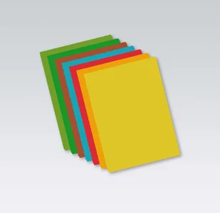 PROTOS Papier ksero A4 160g PROTOS jasny zielony A'50 - Papier do drukarek - miniaturka - grafika 2