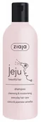 Szampony do włosów - Ziaja Jeju Oczyszczająco Nawilżający Szampon Clean sing & Moisturising Shampoo) 300 ml - miniaturka - grafika 1