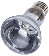 Akcesoria do terrarium - Repti-Zoo Repti-Zoo Neodymium Daylight 75W - żarówka grzewcza neodymowa RZ Neodymium B63075 75W - miniaturka - grafika 1