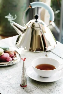 Alessi Czajnik 9093 Tea Rex edycja limitowana czarna rączka miedziany smok 9093rexb - Czajniki na gaz - miniaturka - grafika 5