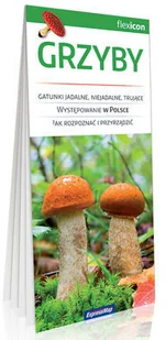 Grzyby - Expressmap - Rośliny i zwierzęta Grzyby - Expressmap - Rośliny i zwierzęta - miniaturka - grafika 1
