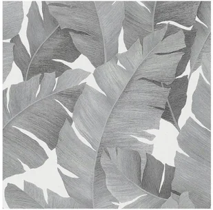 Tapeta winylowa liście tropikalne liście monstera - Tapety - miniaturka - grafika 3