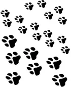 Lusterka do makijażu - Eulenspiegel Profi-Schminkfarben GmbH Szablony Eulenspiegel lusterko kosmetyczne akryl do wielokrotnego użytku 109359 - miniaturka - grafika 1