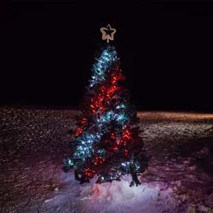 TWINKLY Łańcuch cluster Twinkly RGB, czarny, 400-pkt. 6m - Lampy ogrodowe - miniaturka - grafika 3